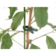 Klipy upínacie na rastliny HAPPY GREEN 4x2,6cm 25ks