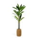 Umelá rastlina dekorácia - Dracaena Fragrans - 1,1-1,2 m