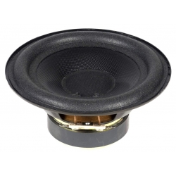 5DR61007 reproduktor