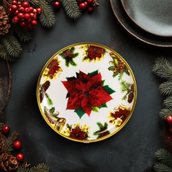 Vianočný tanier – plastový – vianočná hviezda – 22 cm