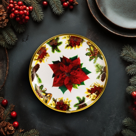 Vianočný tanier – plastový – vianočná hviezda – 22 cm