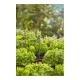 Predlžovacia rúrka postrekovača Micro-Drip od spoločnosti GARDENA 13326-20
