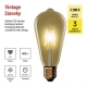 Žiarovka LED E27 4,5 W ST64 biela teplá EMOS Z57032 Vintage