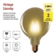 Žiarovka LED E27 4,5 W G125 biela teplá EMOS Z58032 Vintage