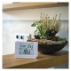 GoSmart termostat EMOS P56211 bezdrôtový WiFi Tuya