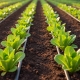 Průtokomer vody – LCD displej – 4 režimy merania – na batérie
