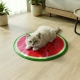 Chladiaca podložka pre domáce zvieratá – kivi, pomaranč, melón – 50 cm