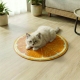 Chladiaca podložka pre domáce zvieratá – kivi, pomaranč, melón – 50 cm