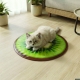 Chladiaca podložka pre domáce zvieratá – kivi, pomaranč, melón – 50 cm